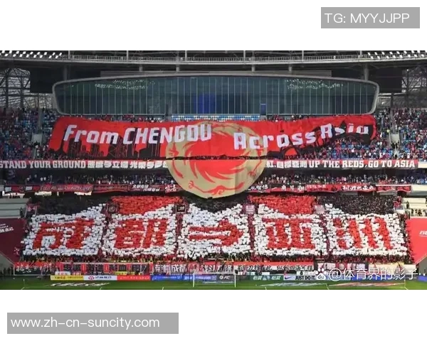 亚冠赛事分析成都遭首尔逆袭海港客场失利回顾